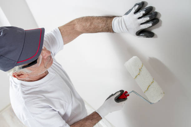 Best Comprehensive Air Testing for Mold Contaminants  in Sebring, FL