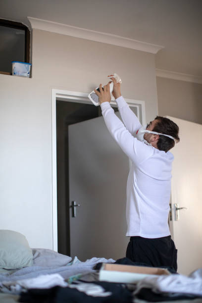 Best Black Mold Removal  in Sebring, FL