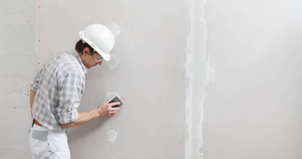 Sebring, FL Mold Removal Company