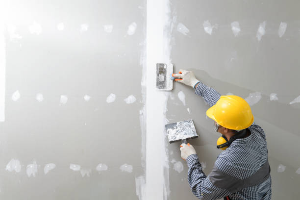 Mold Odor Removal Services in Sebring, FL