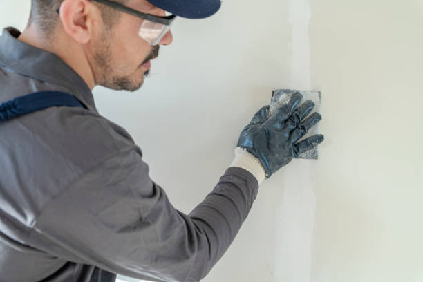 Best Attic Mold Removal  in Sebring, FL