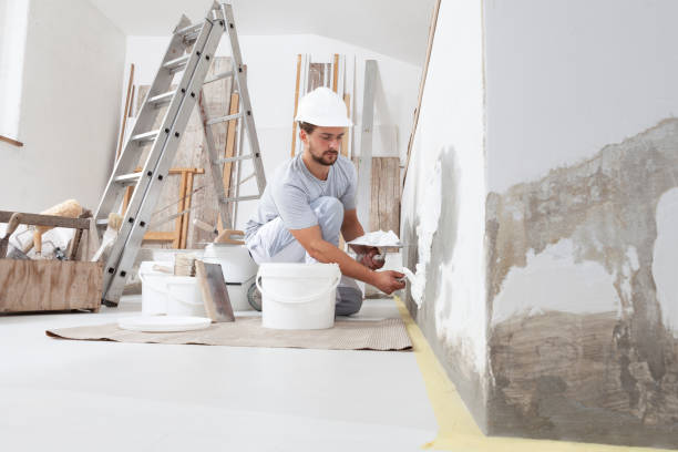  Sebring, FL Mold Removal Pros