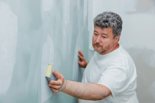 Best Residential Mold Inspection & Testing  in Sebring, FL