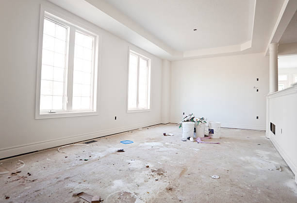 Best Mold Damage Restoration  in Sebring, FL